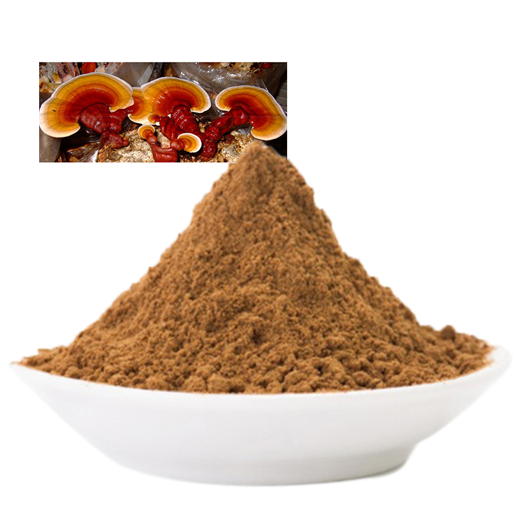 How to Verify the Strength of Your Reishi Extract