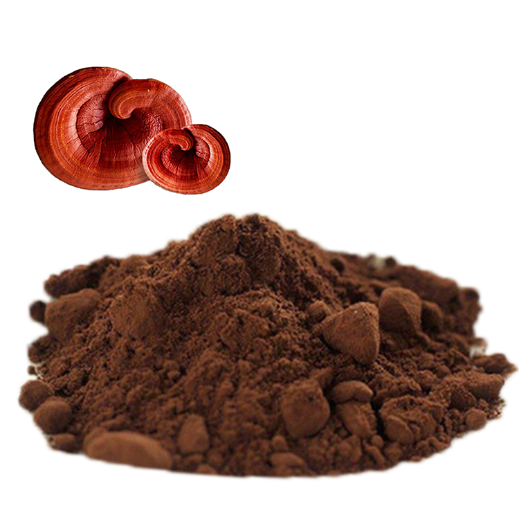 Organic Red Ganoderma Powder Science-Backed Uses and Safety Tips