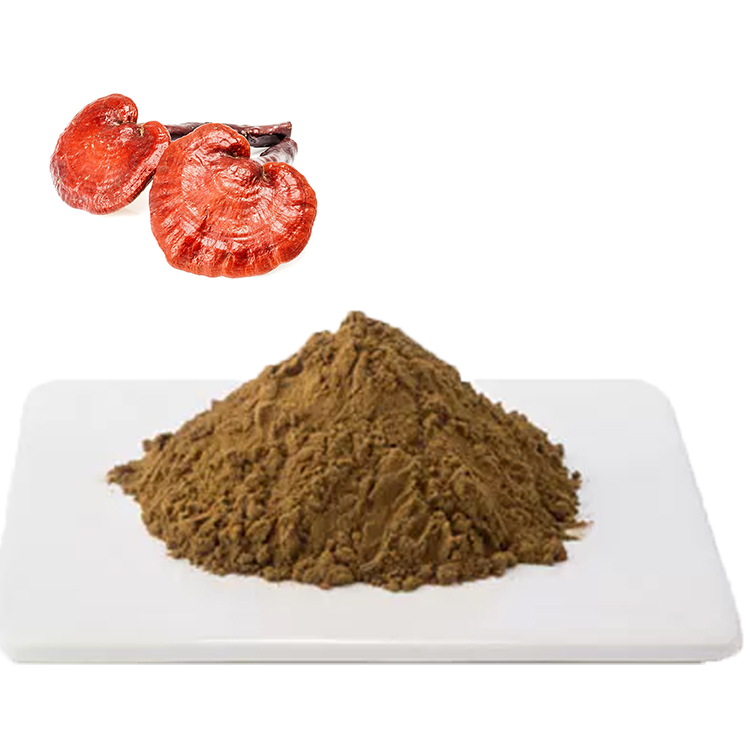 How Organic Medicinal Mushroom Powder Can Boost Your Immune System