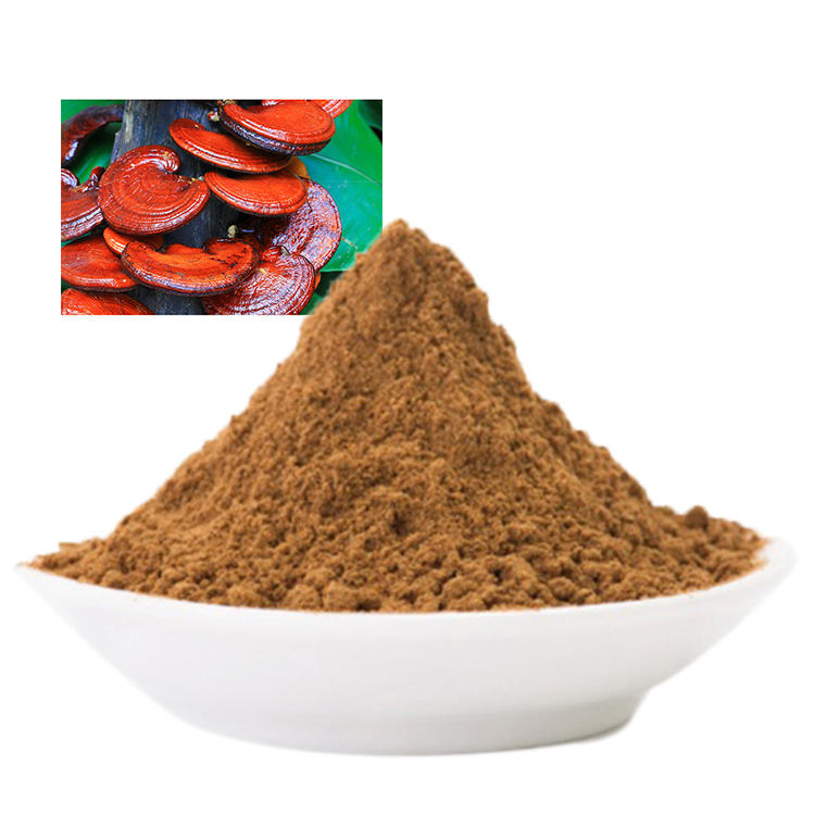How Organic Medicinal Mushroom Powder Can Boost Your Immune System
