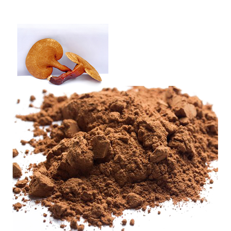 How Organic Medicinal Mushroom Powder Can Boost Your Immune System