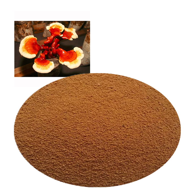 The Ultimate Guide to Red Reishi Supplement Powder