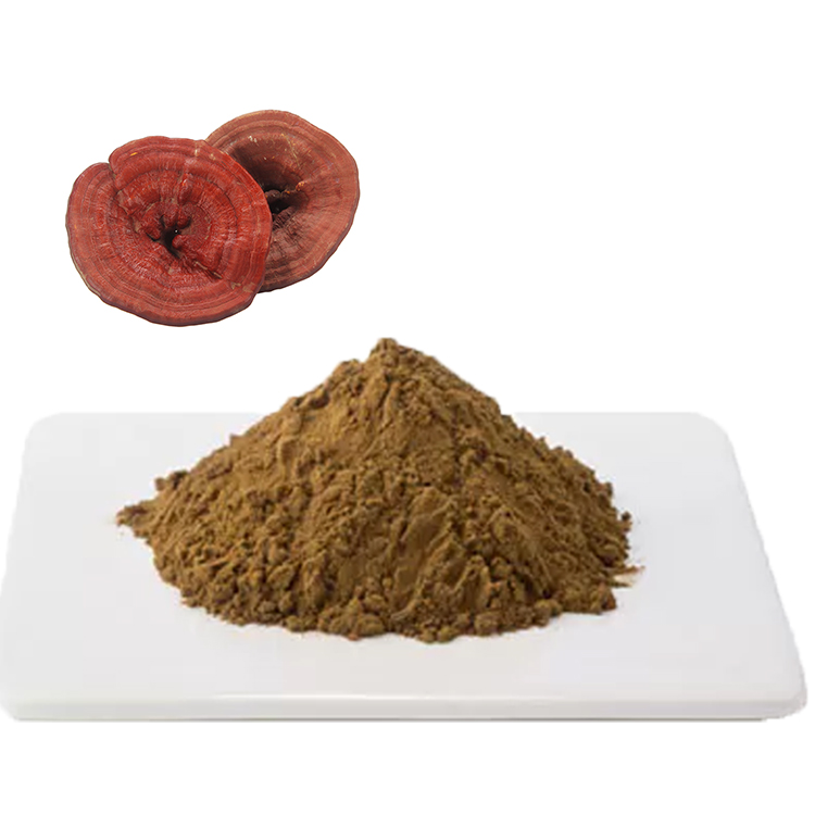 How Organic Medicinal Mushroom Powder Can Boost Your Immune System