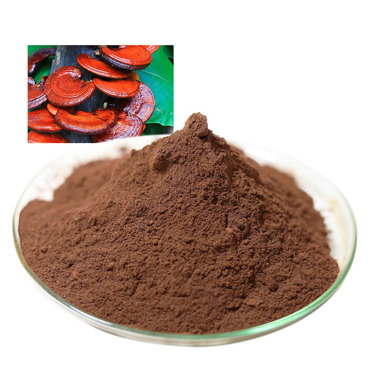 How Organic Medicinal Mushroom Powder Can Boost Your Immune System