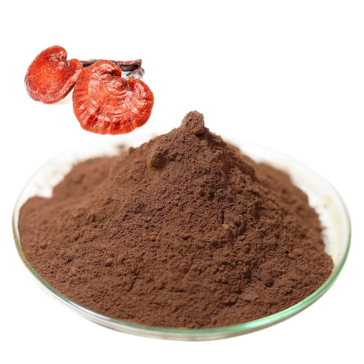 How Organic Medicinal Mushroom Powder Can Boost Your Immune System