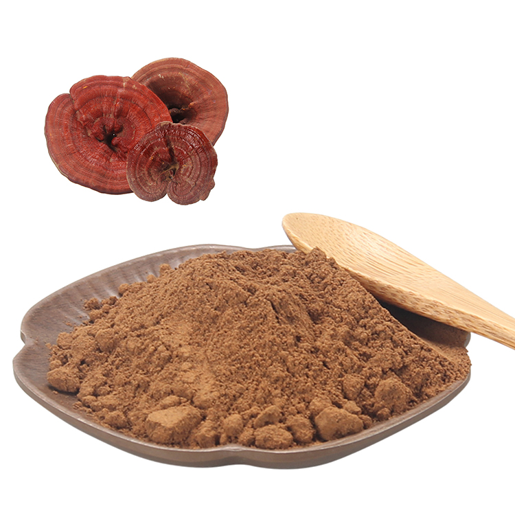 Why Organic Ganoderma Lucidum Extract Is Popular Among Health Enthusiasts