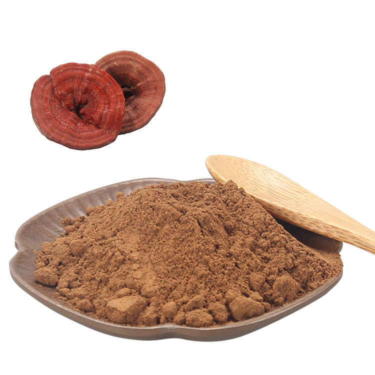 What Makes Reishi Extract Powder Organic a Superior Superfood?