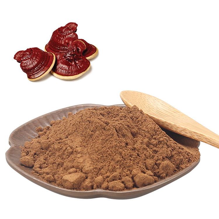 Organic Ganoderma Lucidum Extract for Immune Support and Vitality