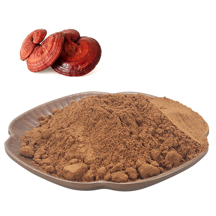 What Makes Reishi Extract Powder Organic a Superior Superfood?
