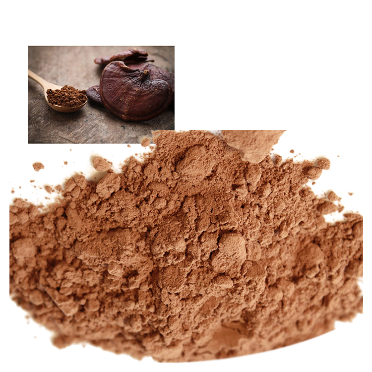 Ganoderma Immune Support Formula Science-Backed Uses and Safety Tips