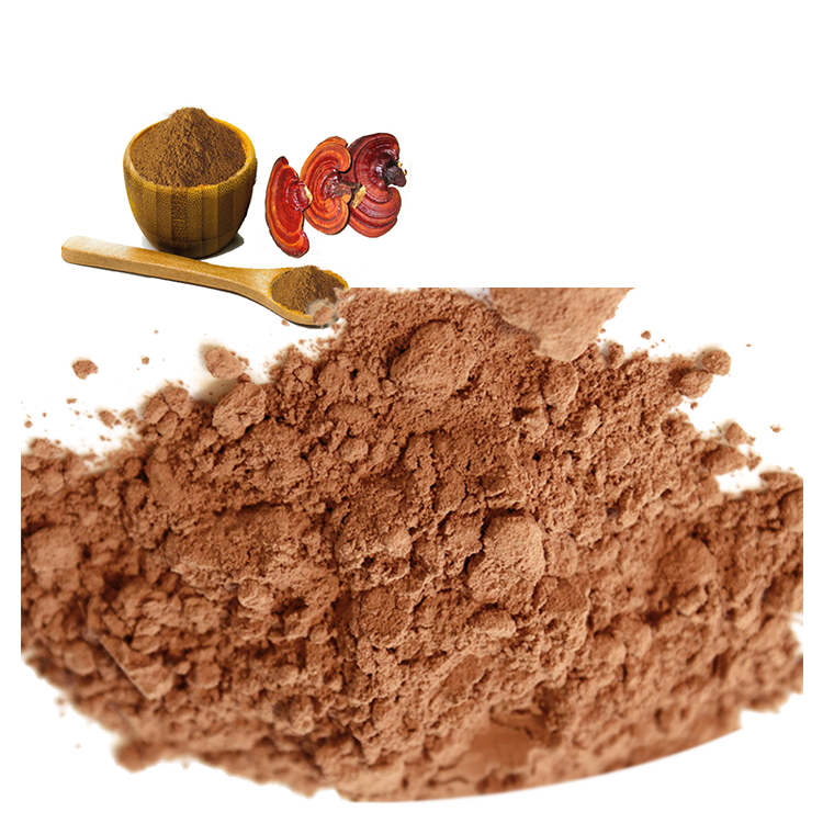 Red Reishi Mushroom vs Ganoderma Lucidum – What’s the Difference?