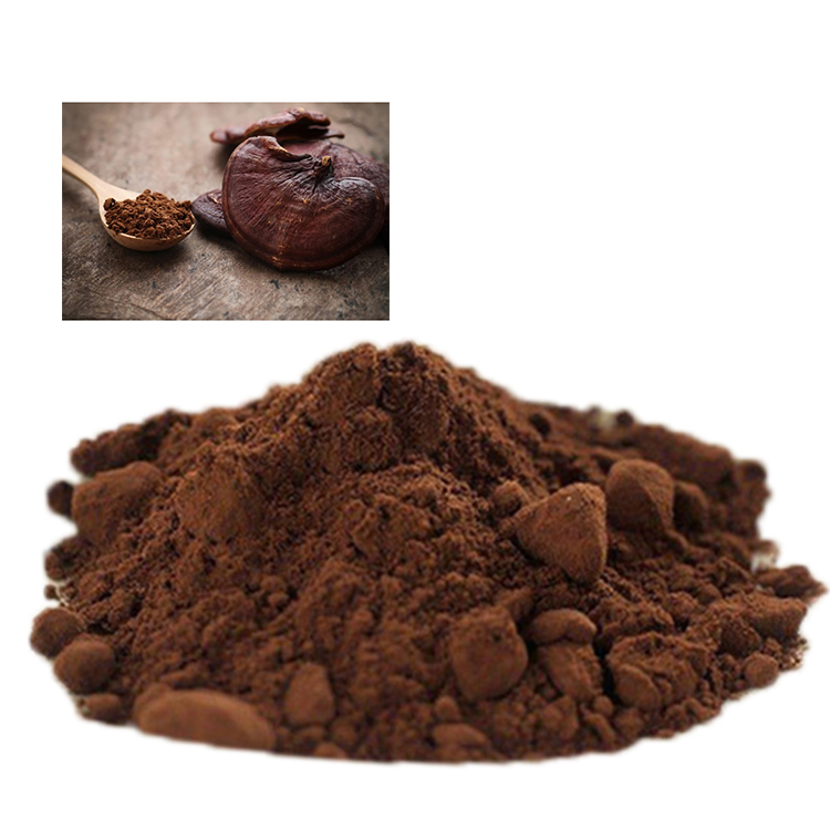 Ganoderma Lucidum Capsules vs Powder: Pros and Cons