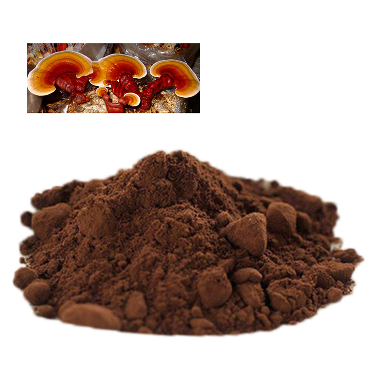 Top Benefits of Ganoderma Lucidum Extract Powder You Should Know