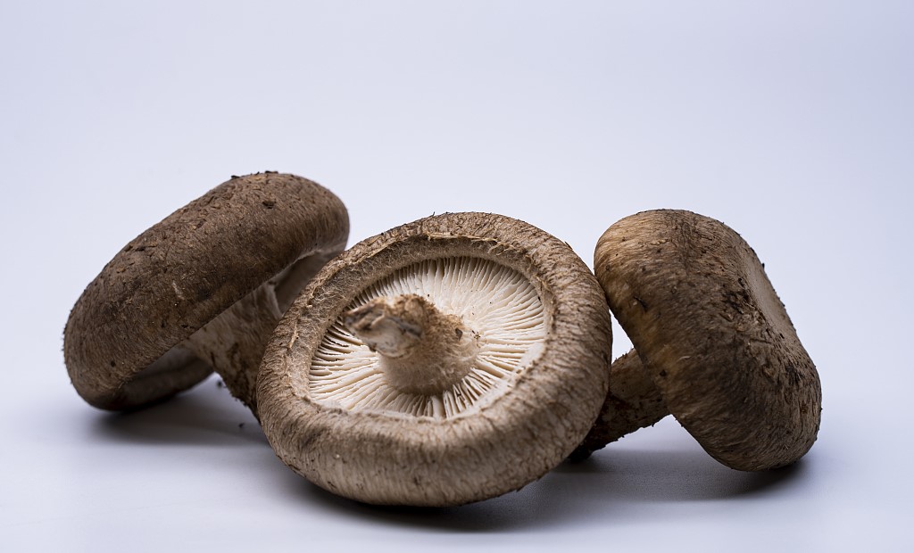 What is Cordyceps sinensis mushroom good for?