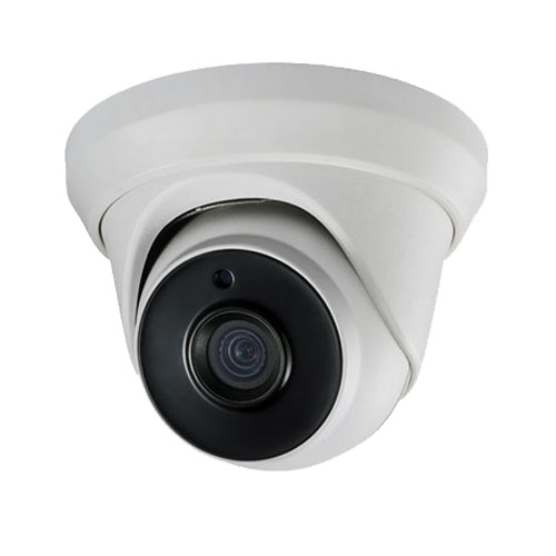 IN-D043-IP