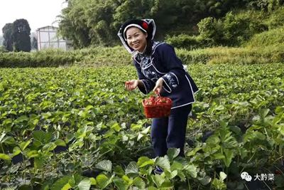 拾穗餐饮山庄 付命琼