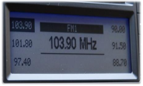 FSTN Positive Display