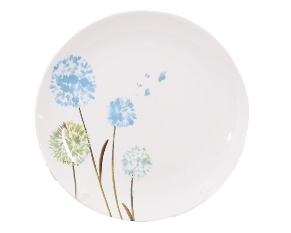 PLATE XYY5231