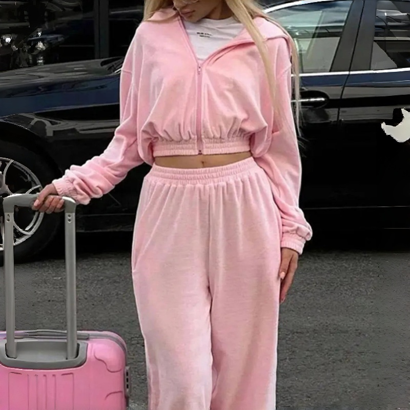 Wholesale 2 Pieces Daily Wear Tracksuit Custom logo Cozy Full Length Sweatpants and Crop Top Full Zip up Women's Hoodie Set