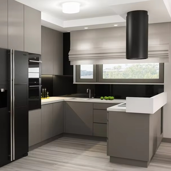 Modular Luxury Stainless Steel Kitchen Cabinets for Rental Apartments