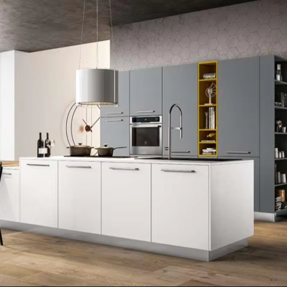 Stainless Cabinet for BBQ Kitchen