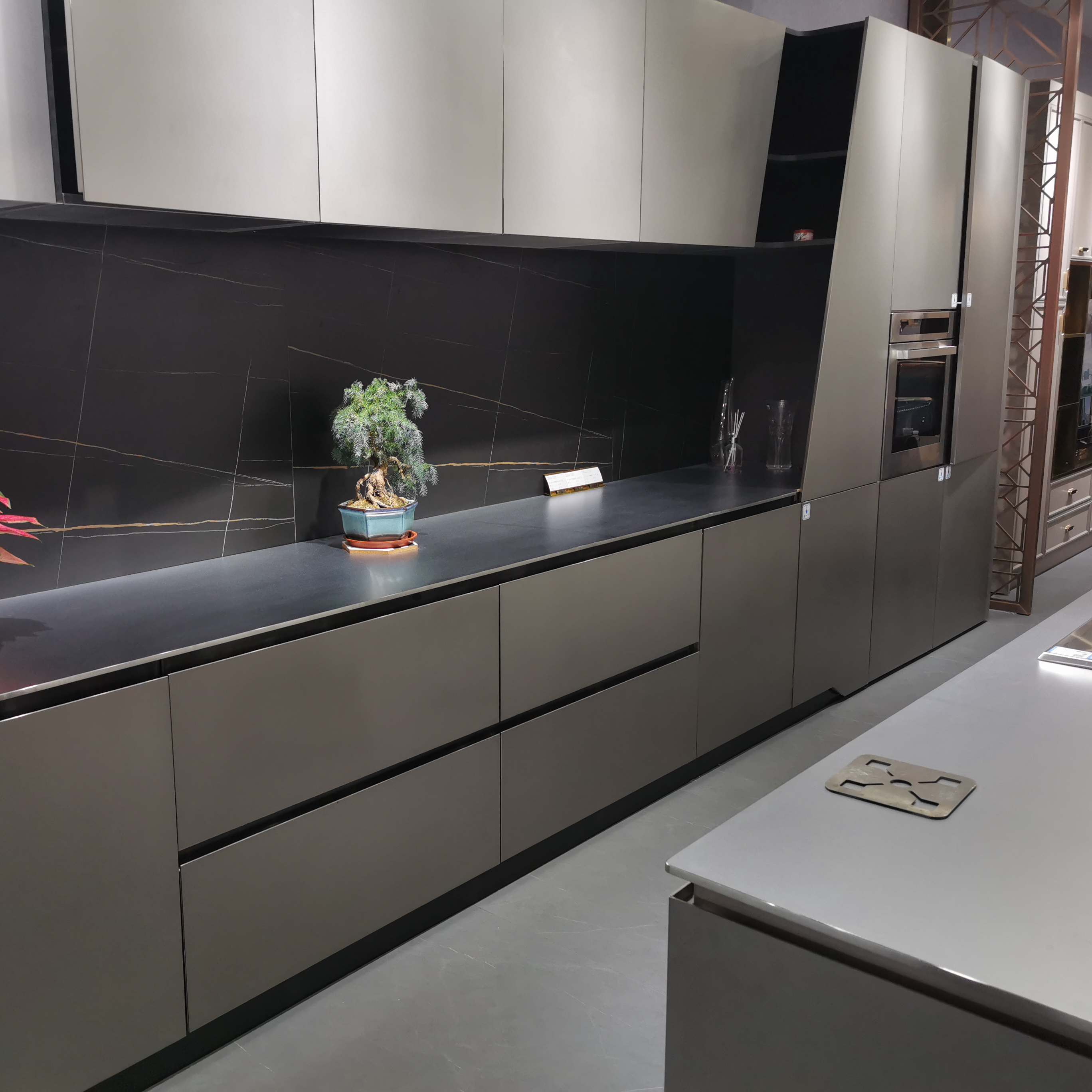 Exclusive Polished Steel Kitchen