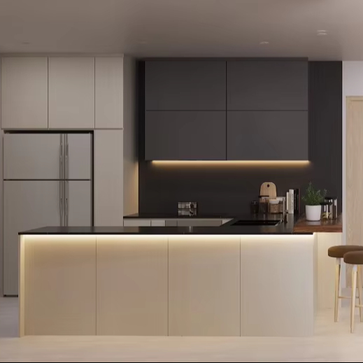Minimalist Luxury Stainless Kitchen Cabinets