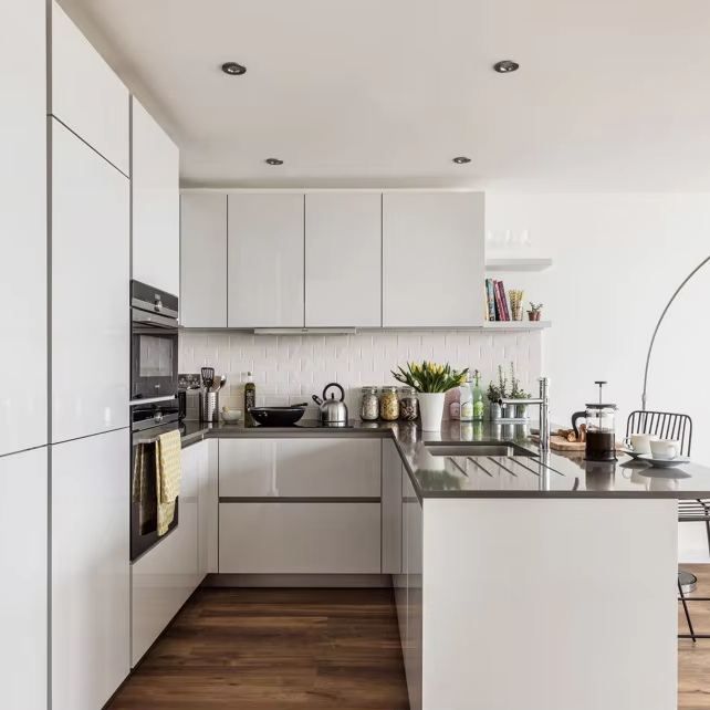 Luxury Stainless Steel Kitchen Cabinets with Quartz Countertops