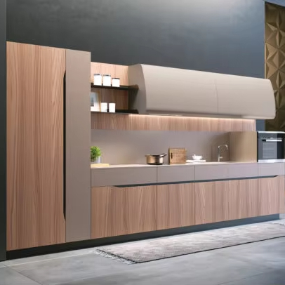 Luxury Stainless Steel Kitchen Cabinets for Interior Designers