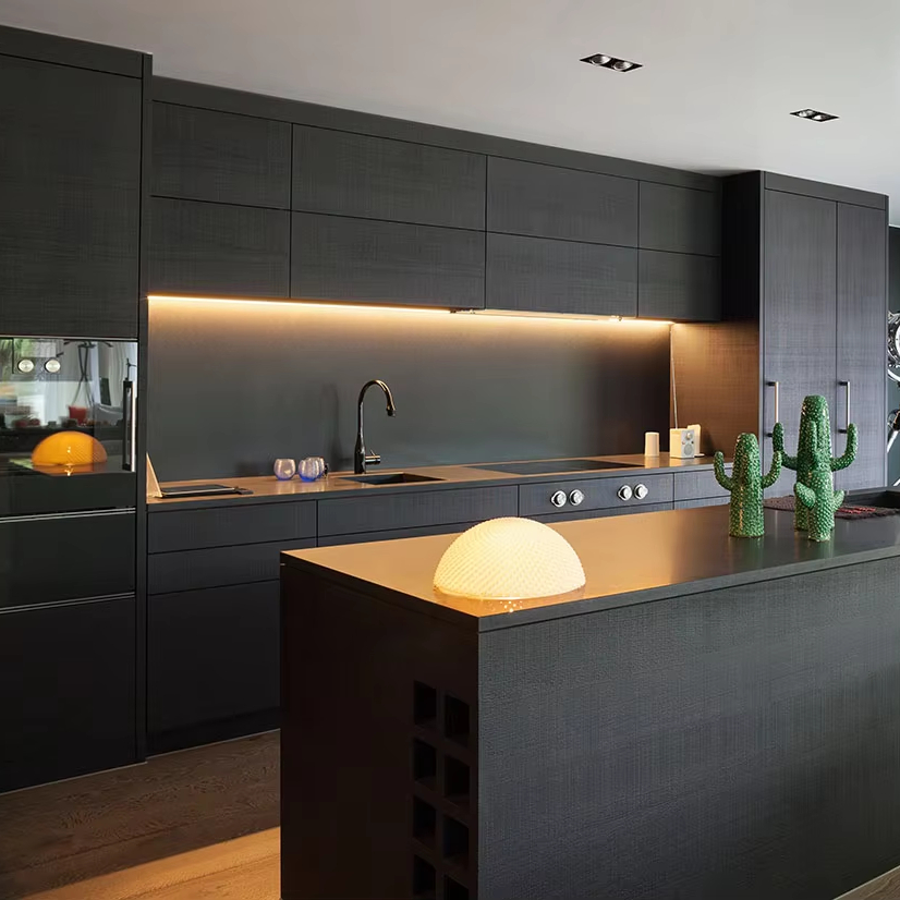 Family-friendly Luxury Stainless Steel Kitchen Cabinet Systems