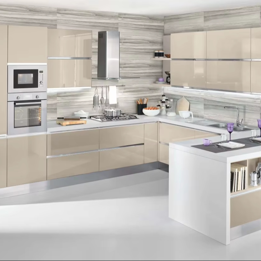 Luxury Stainless Steel Kitchen Cabinets for Aging-in-place Kitchen Design