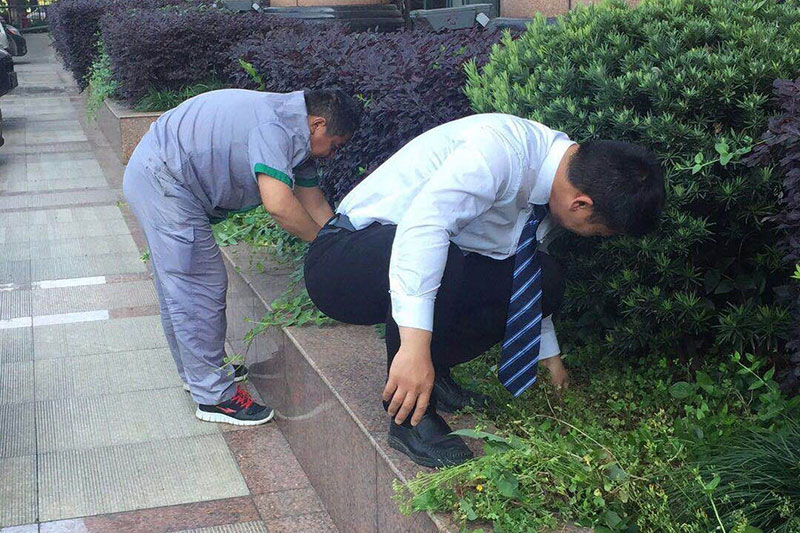 绿化养护