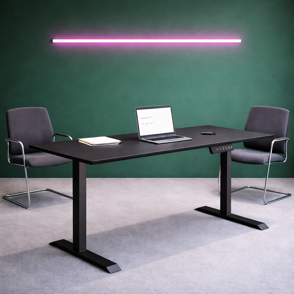 ZY-02 Electric Standing Desk for Contemporary Office Space