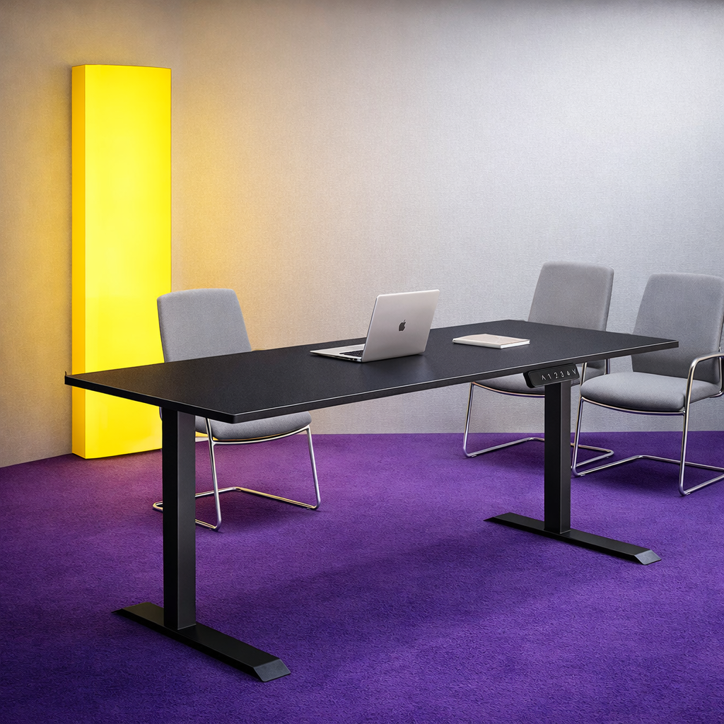 ZY-02 Dual Motor Standing Desk for Executive Office Interior