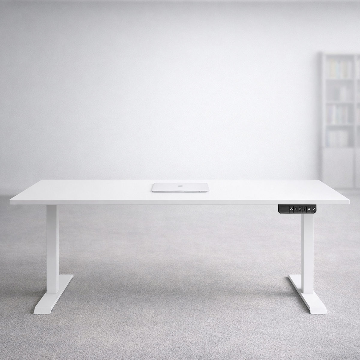 ZY-02 White Dual Motor Standing Desk Office Workspace