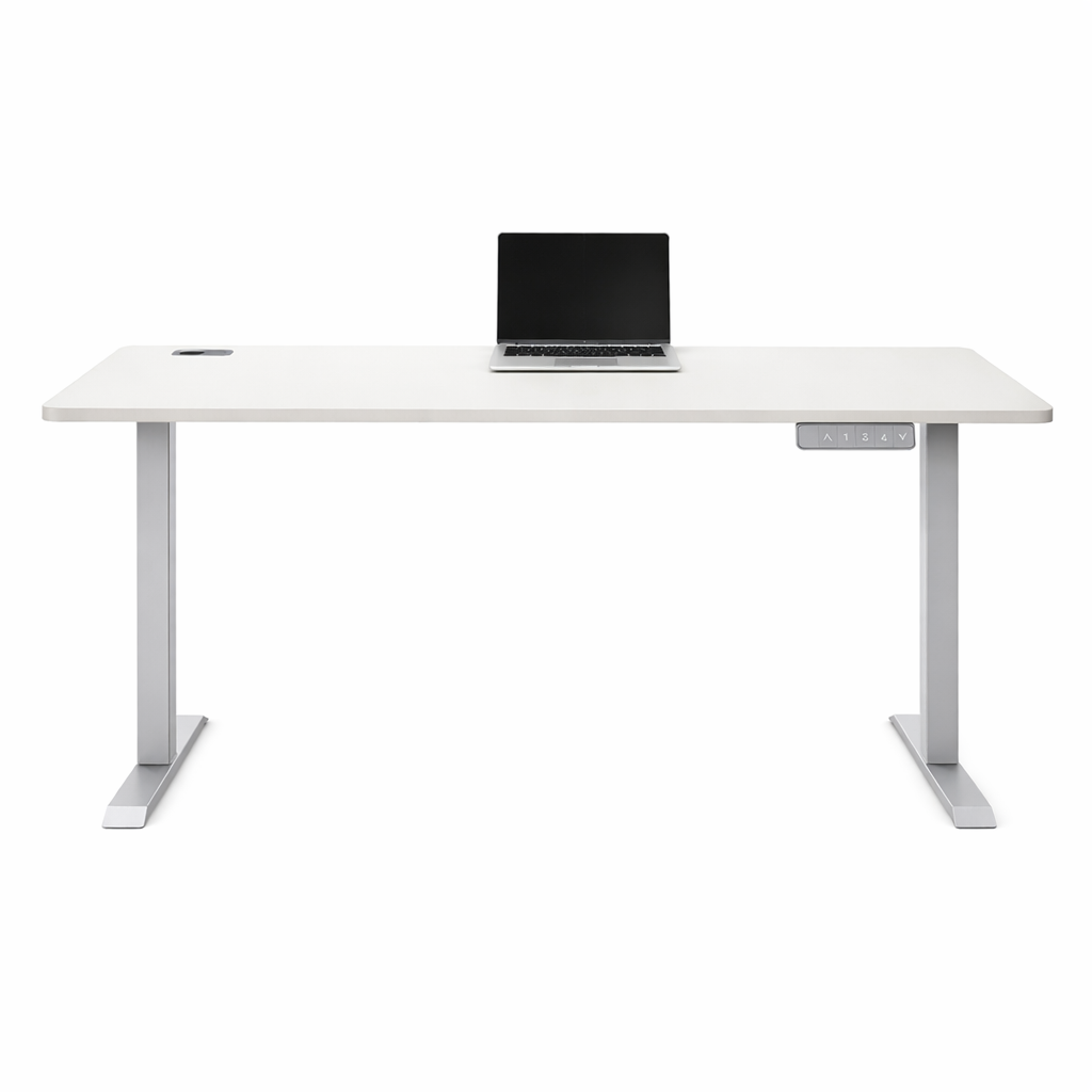 ZY-02 | Dual Motor Height Adjustable Desk