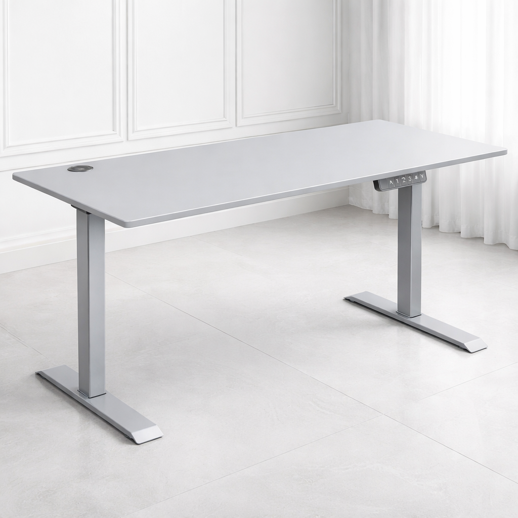 ZY-02 Dual Motor Electric Standing Desk | Adjustable Sit-Stand Workstation