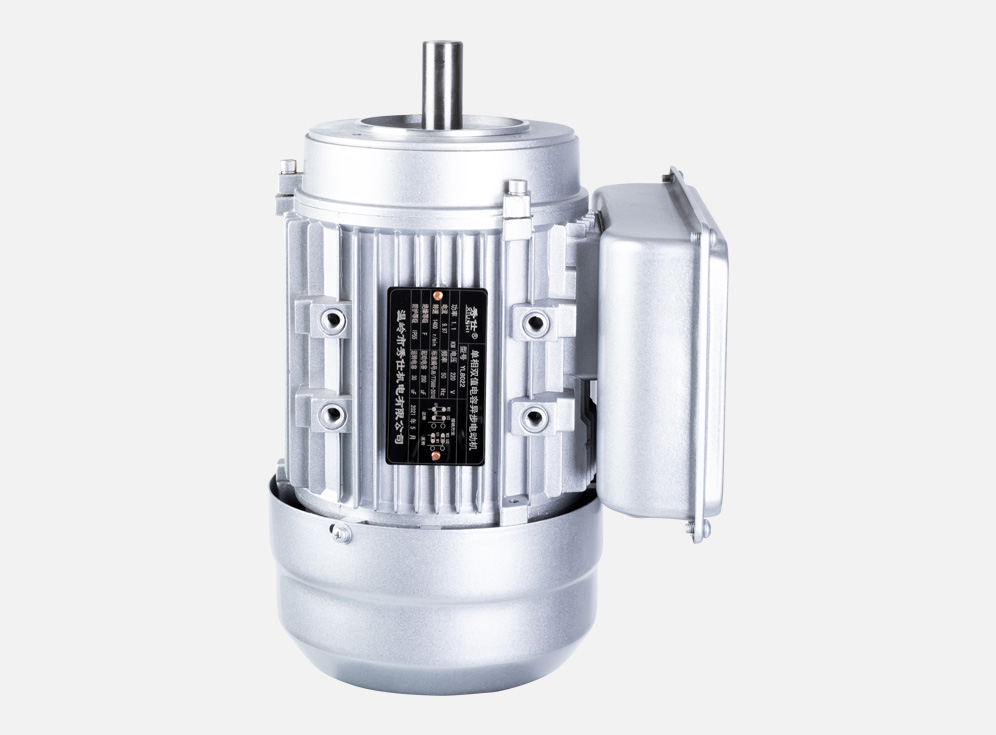 Single phase double value asynchronous motor YL-8022