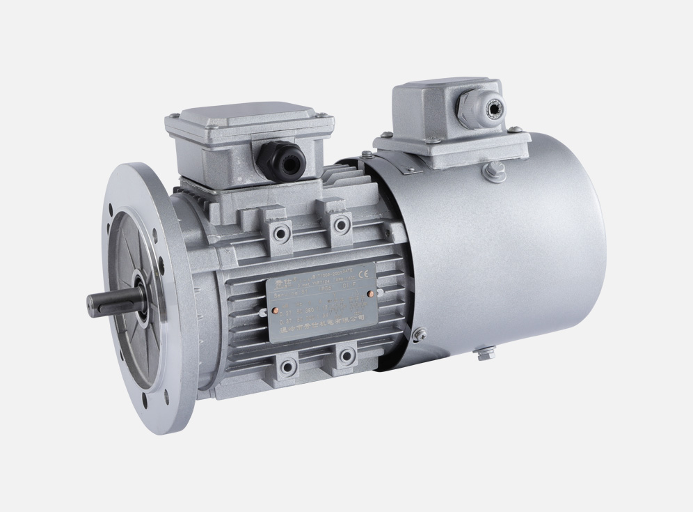 Frequency conversion speed regulation three-phase asynchronous motor YVF7124