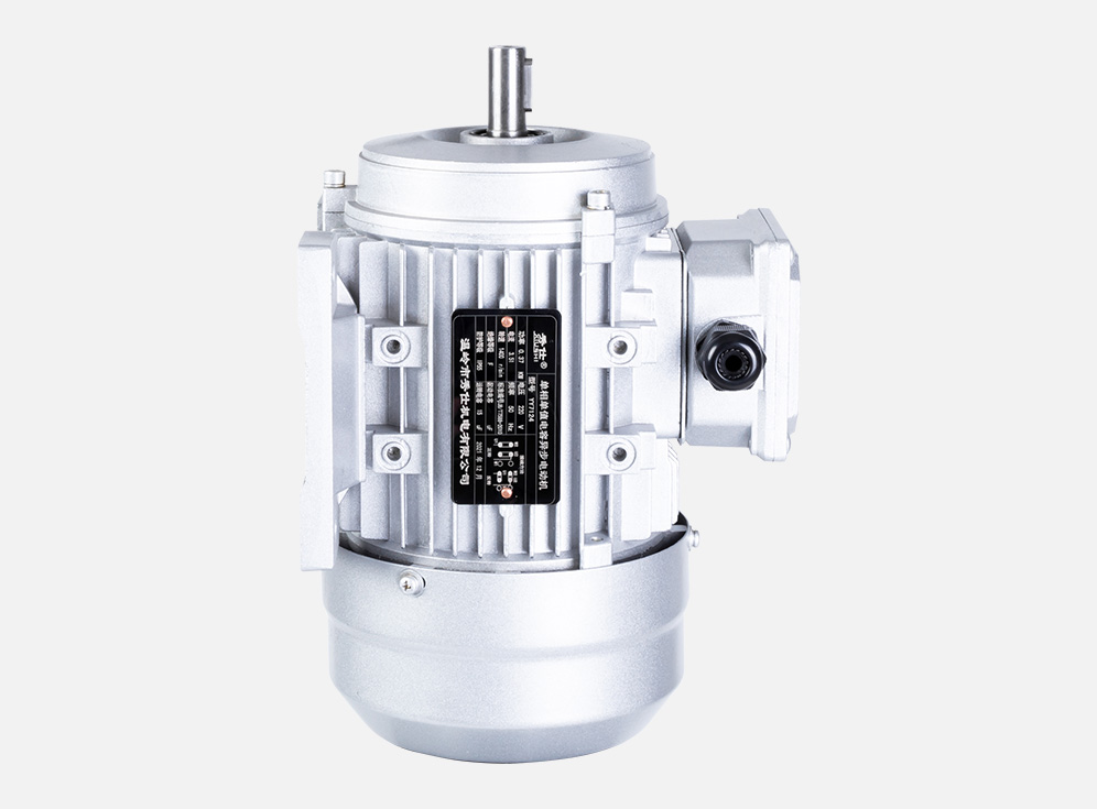 Single-phase single-value asynchronous motor YY7124