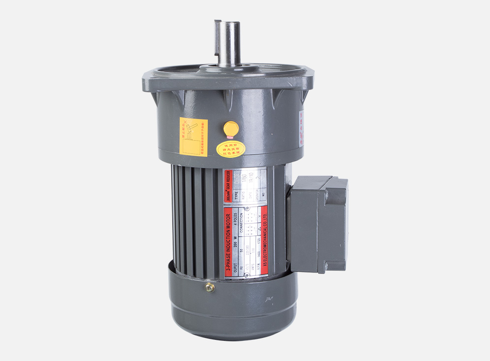 Vertical three-phase induction motor CV-22-0.2KW