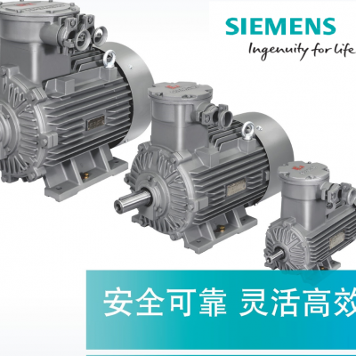 西门子 SIMOTICS XP 1MB0063 系列低压隔爆电动机 (Ex d IIB T4）