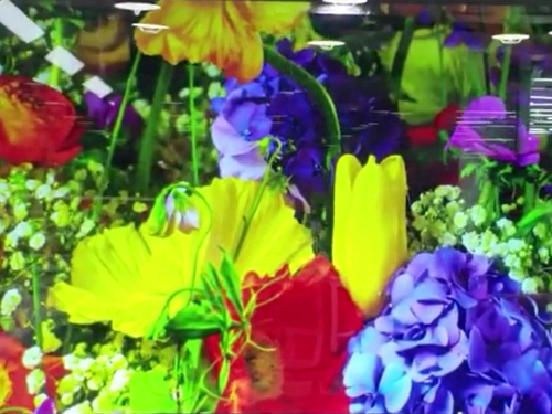 Super vivid color and high resolution