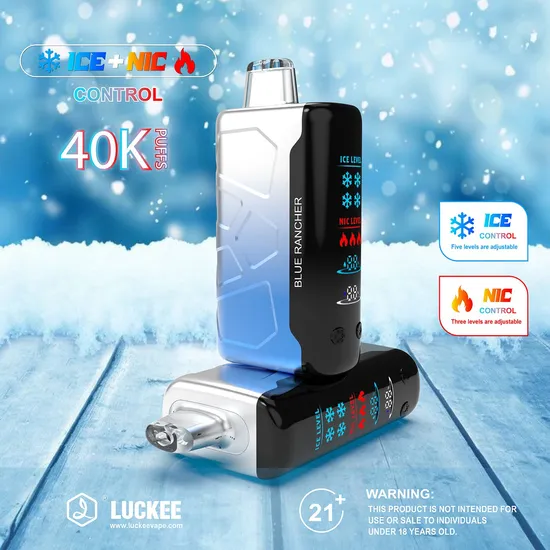 Usine nouveau OEM / ODM Ice Control cigare bloc de tuiles 20k / 30K / 40k / 50k luckee ic40000 Puff stick cigare jetable avec écran numérique