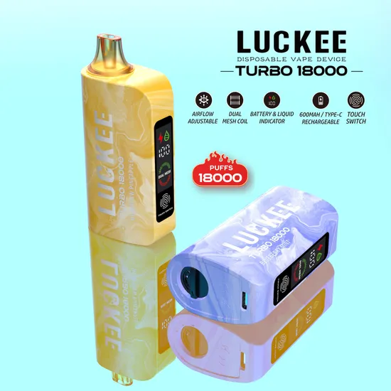More Popular Turbo 18000 Puffs 5% Nic Disposable Vaporizer with Vape