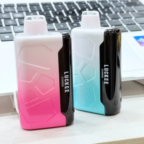 Eco-Friendly Disposable Vape Puff Pen 900mAh Battery Bulk Order for Vape Shops