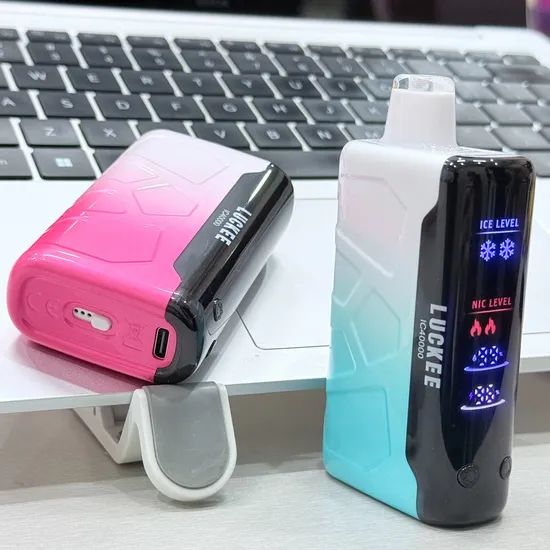 Mini Vape EU Warehouse 40000 Puff Disposable Pod Electric Cigarette Wholesale Vaper 30K 40K Vapor Ice Nic Control Vaping Vapor Smoke