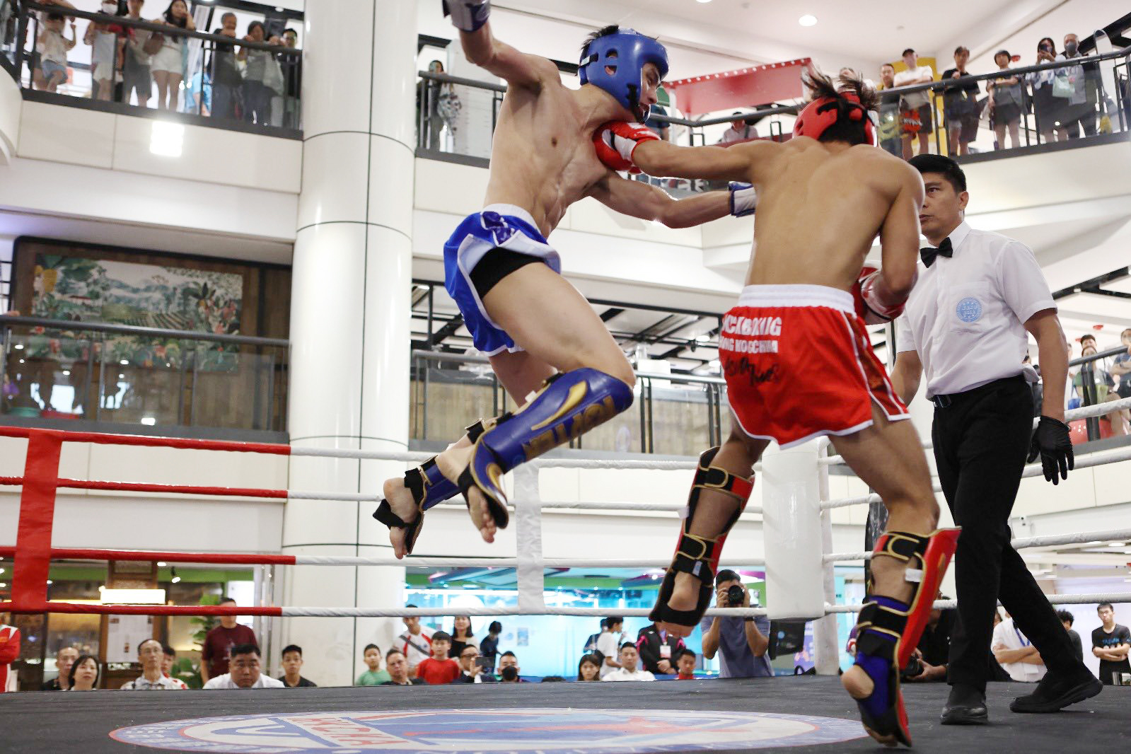 自由搏擊錦標賽2025