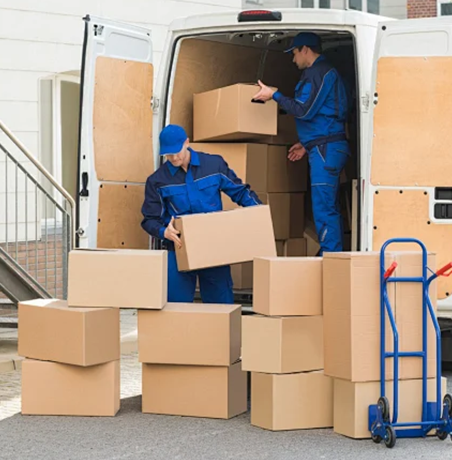 The Shanghai Cooperation Organization Industrial Chain Supply Chain Qingdao......