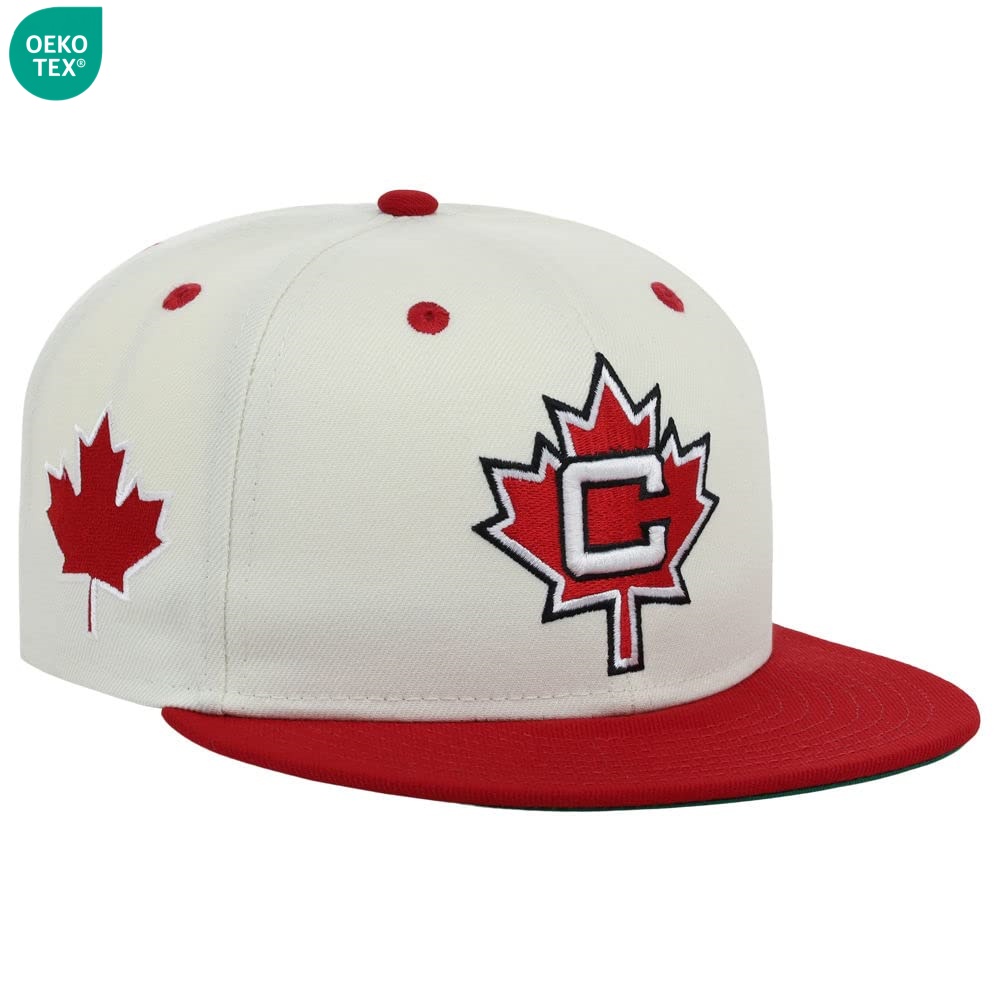 High Quality Vintage Two-Tone Snapback Cap Custom Logo 3D Embroidery Hip-Hop Style Designer Hats Wholesale Fashion Accessory